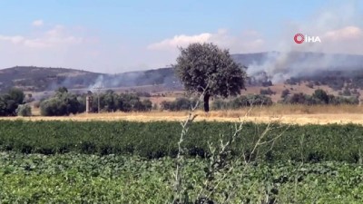 karahisar -  Sandıklı’nın Akharım beldesinde orman yangını Videosu
