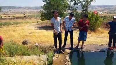 yogun bakim unitesi -  Havuz duvarından düşen vatandaş ağır yaralandı Videosu