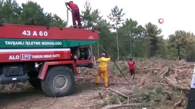 yuksek gerilim hatti -  Ormanlık alanda yangın korkuttu  Videosu