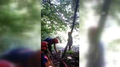 Ağaçtan düşerek mahsur kalan kişi kurtarıldı - BURSA