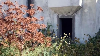 insaat sirketi - Bodrum'da 23 yıldır süren 'devre mülk' davası - MUĞLA  Videosu