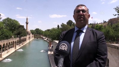 keci - 'Peygamberler Şehri'nin camileri ihya ediliyor - ŞANLIURFA  Videosu