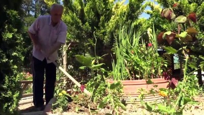 botanik bahcesi - Çöplüğü 22 yıllık emekle botanik bahçesine çevirdiler - AMASYA  Videosu