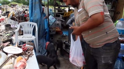 hayvan sevgisi -  İnsanlık hala ölmemiş dedirtti...Anneleri ölen yavru köpeklere bakmak için seferber oldu Videosu