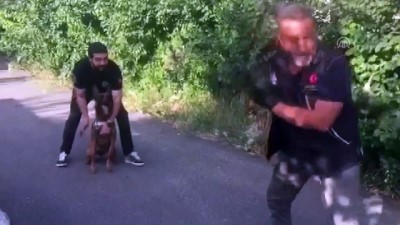 ipekyolu - Van'da uyuşturucu operasyonu  Videosu