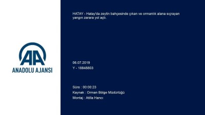 ormana - Zeytin bahçesinde çıkan yangın ormana sıçradı - HATAY Videosu