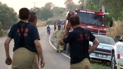  İzmir’deki orman yangınını söndürmek için çalışmalar sürüyor