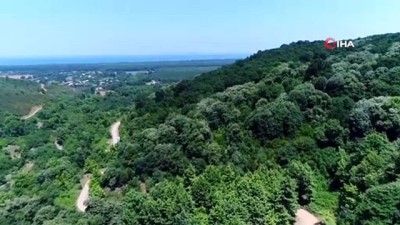 tas komuru -  Kullanılmayan maden sahalarına 1 milyon fidan  Videosu