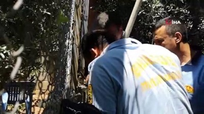 elektrik diregi -  Tarsus’ta elektrik direği içine sıkışan kediyi itfaiye kurtardı  Videosu