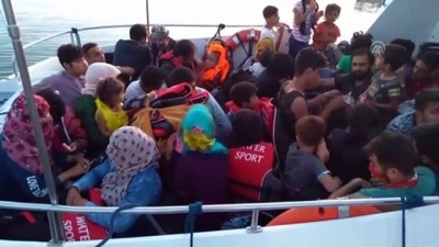 nani - 48 düzensiz göçmen yakalandı - ÇANAKKALE  Videosu