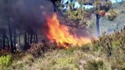 sparta -  Yurt genelinde çıkan orman yangınları korkuttu  Videosu