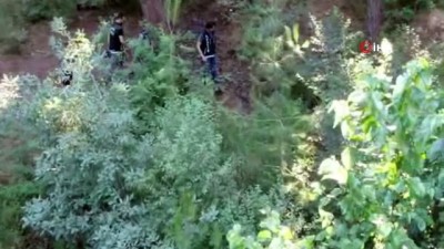 tarim arazisi -  Denizli’de 93 kilo esrar ele geçirildi  Videosu