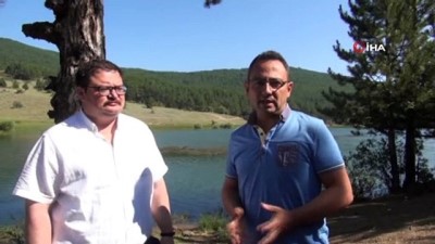 cekim -  Uşak’ta 15 bin sazan yavrusu göletlere bırakıldı Videosu