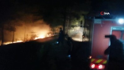  Amasya’da 1 dönümlük örtü yangını 