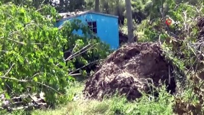 erik agaci -  Kırklareli'nde etkili olan hortum ağaçları kökünden söktü Videosu