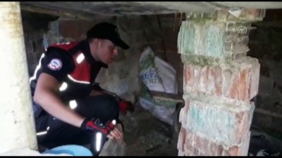 Uyuşturucu operasyonu: 18 gözaltı - EDİRNE 