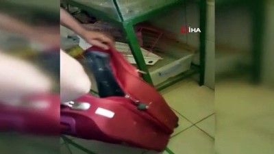 yolcu otobusu -  Antalya Otogarı'nda yılan operasyonu kamerada Videosu