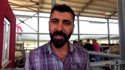 bayram alisverisi -  Bingöl'de kurban pazarı ve çarşıda son gün yoğunluğu  Videosu