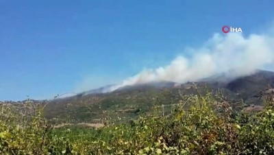 salda -  Ödemiş'te orman yangını Videosu