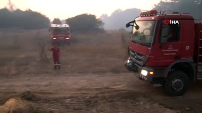 orman yangini -  Çanakkale Valisi yangın mahalinde  Videosu