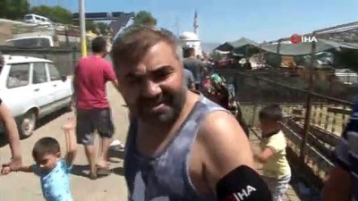 kurban bayrami -  İzmir’de kurban bayramı...Kurban satıcıları satışlardan memnun  Videosu