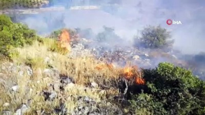  İznik'te orman yangını