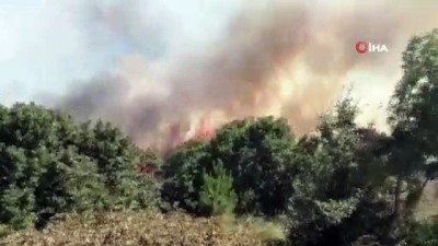 Pendik Göçbeyli köyünde ormanlık alanda yangın çıktı. İtfaiyenin yangına müdahalesi sürüyor. 