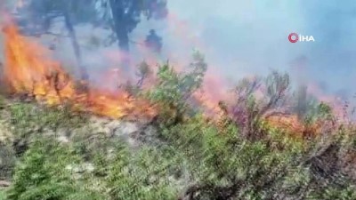 orman yangini -  Alaçam Dağları'nda orman yangını  Videosu