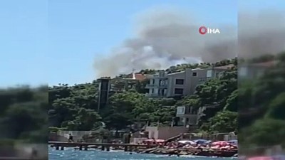  Burgazada’da korkutan orman yangını 