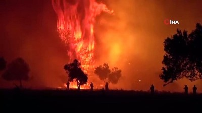 siddetli ruzgar -  Çanakkale’deki yangının bilançosu ortaya çıkmaya başladı  Videosu