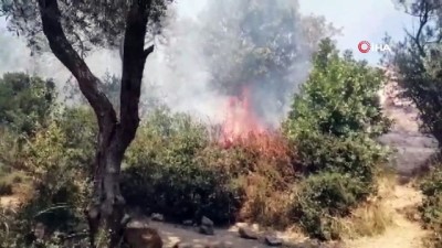 orman yangini -  Kartal'da orman yangını  Videosu