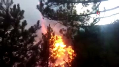  Kütahya'daki orman yangına havadan ve karadan müdahale ediliyor