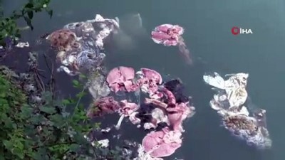  Baraj gölü bayram çöpleri ve hayvan atıklarıyla doldu 