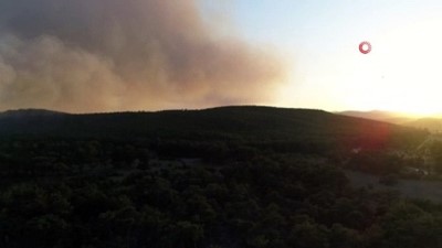 evrese -  Eskişehir’de orman yangını Videosu