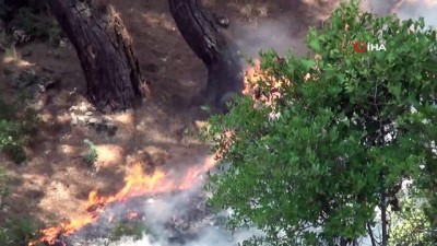  Fethiye'de orman yangını