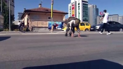 yaya gecidi - Yol ortasında şaşkına çeviren görüntü  Videosu
