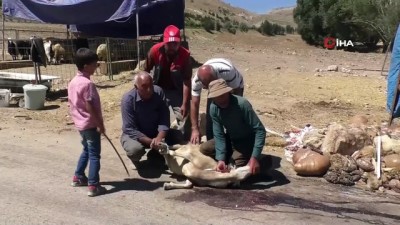  Kurbanlık fiyatları son günde yarı yarıya düştü 