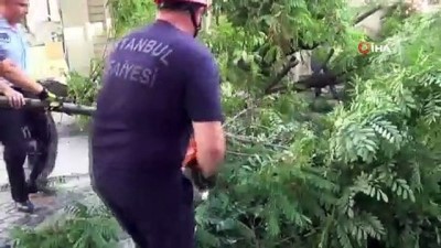  Silivri’de yıkılan ağaç caddeyi trafiğe kapattı