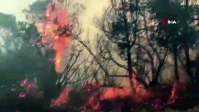  Yenişehir'deki orman yangınında yeni gelişme