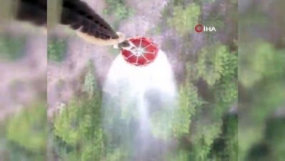 is makinesi -  Eskişehir'deki orman yangını kontrol altına alındı  Videosu