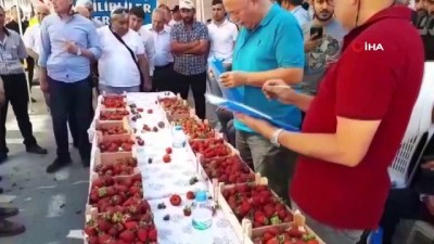 organik pazar -  İskilip’te “en iyi çilek” yarışması  Videosu