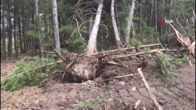 orman yangini -  Yangının tahribatı gündüz ortaya çıktı  Videosu