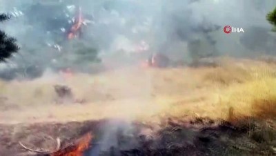 Yozgat'ta orman yangını: 3 hektar alan yandı 