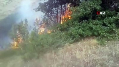  Bayburt'ta orman yangını