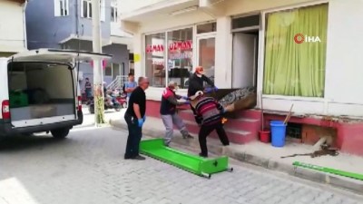 karahisar -  Ceset mahalleyi saran kokuyla ortaya çıktı Videosu