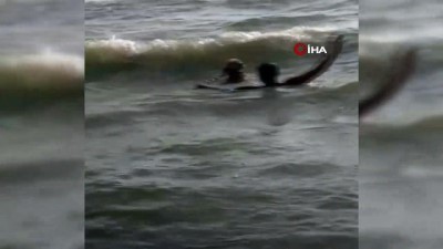 Denize giren kişinin boğulduğunu sanan köpeğin kurtarma çalışması kamerada