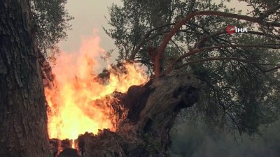  - Yunanistan’daki Yangın 3 Gündür Söndürülemiyor 