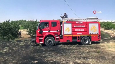 yangin yeri -  Bahçede çıkan yangında 80 ağaç zarar gördü  Videosu