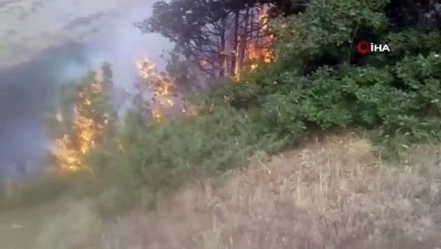 orman yangini -  Bayburt’ta orman yangınında 100 dönüm alan zarar gördü Videosu