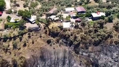 zeytin agaci -  Bodrum’da orman yangını sonrası kömür karasına dönen alanlar havadan görüntülendi  Videosu